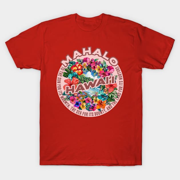 Hawaii T-Shirt by jcombs